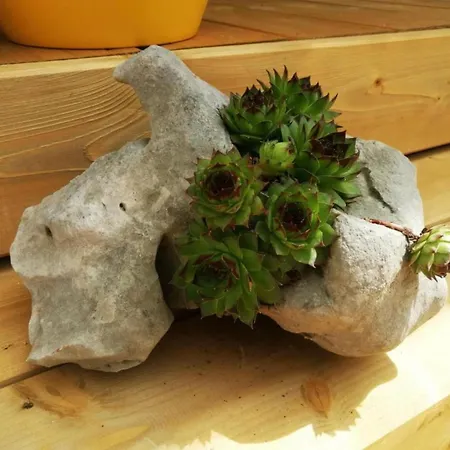 Mobile Nensi Casa vacanze