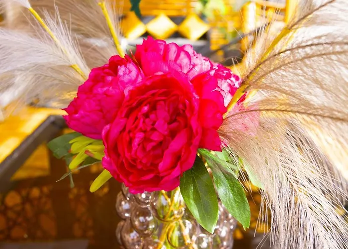 Mobile Nensi * Biograd Na Moru