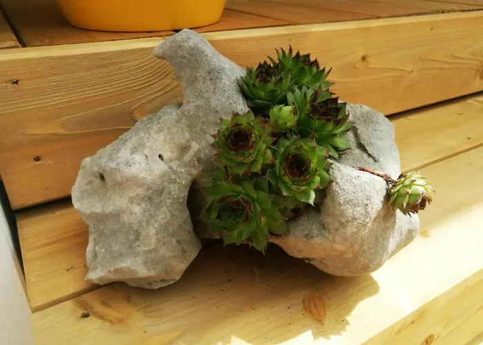 Mobile Nensi Tatil Evi